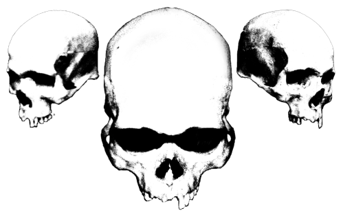 three_skulls_super-scaled10001.png?w=500